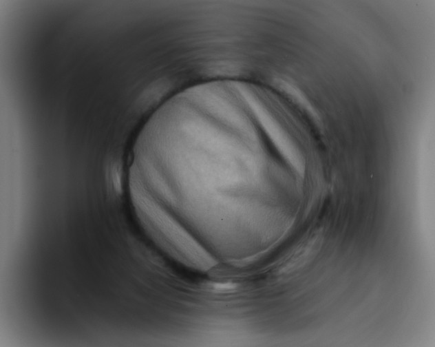 X0000094180068200711161736
