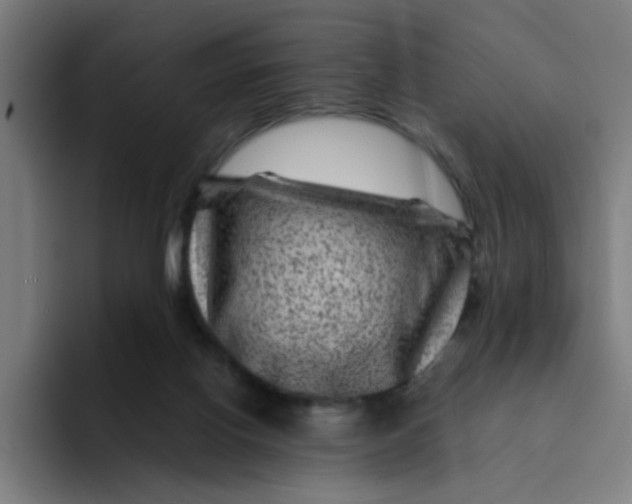 X0000094180070200711161736