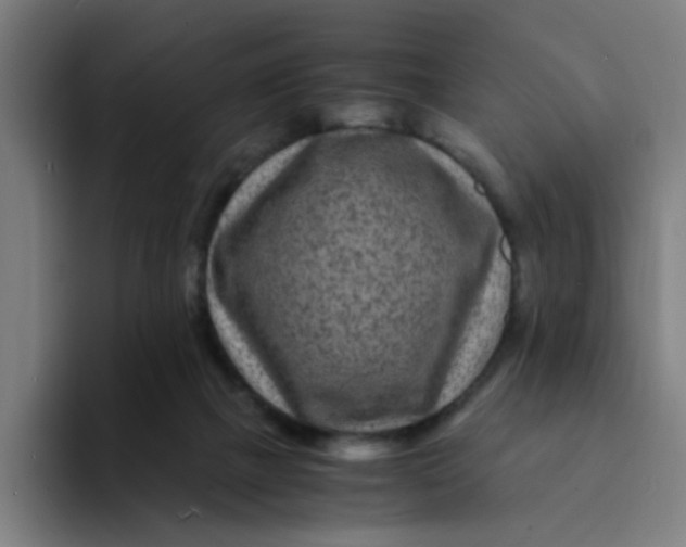 X0000094180073200711161736