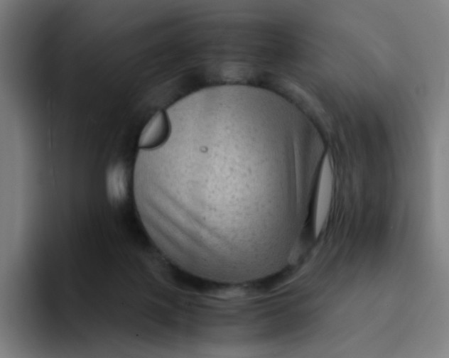 X0000094180075200711161736