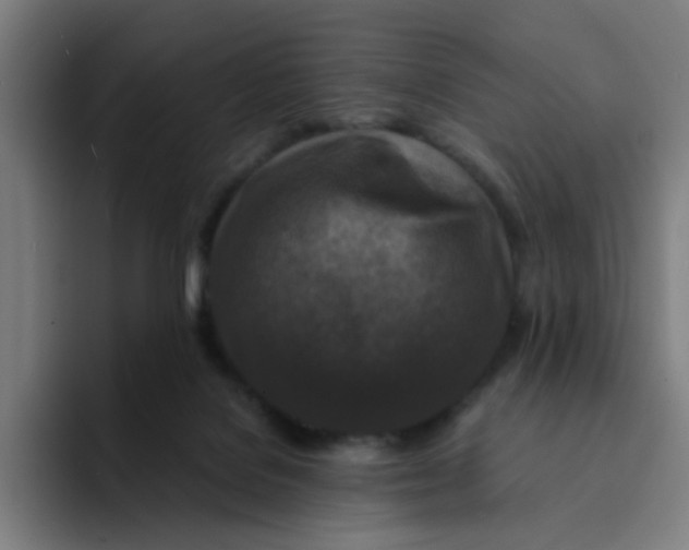 X0000094180076200711161736