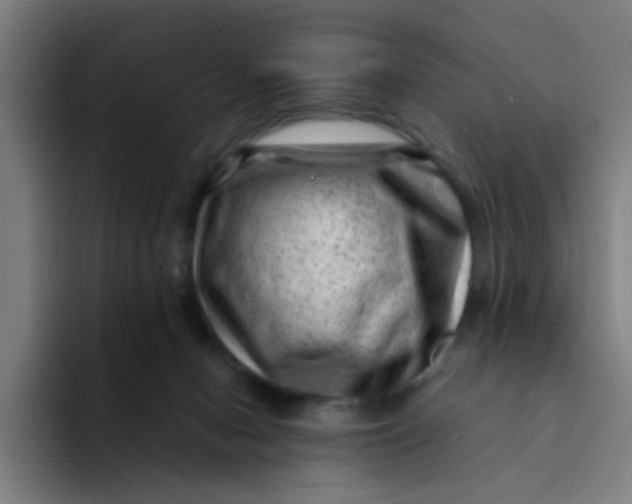 X0000094180078200711161736