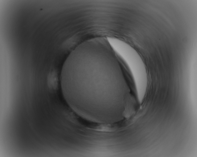X0000094180080200711161736
