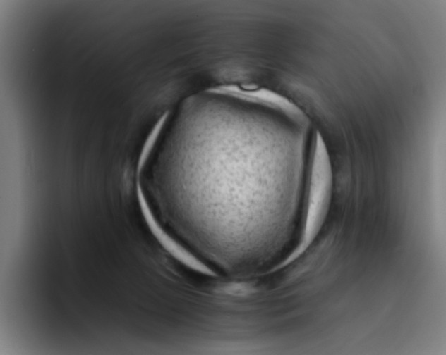 X0000094180081200711161736