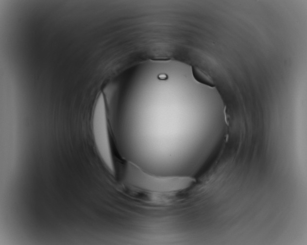 X0000094180084200711161736