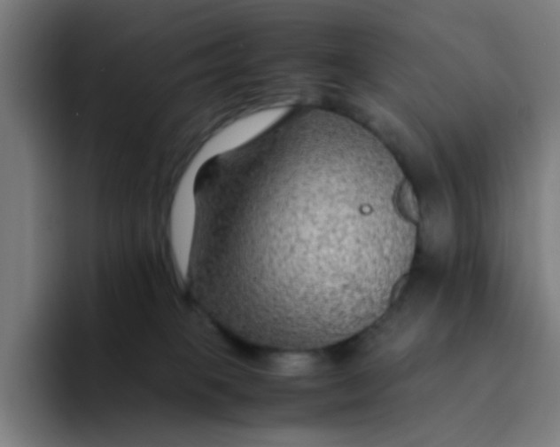 X0000094180085200711161736