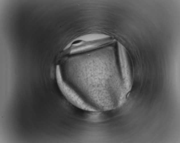 X0000094180090200711161736