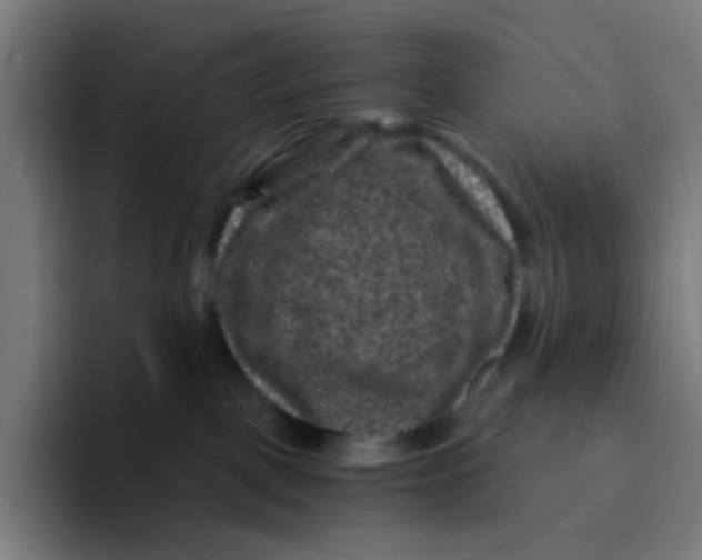 X0000094180093200711161736
