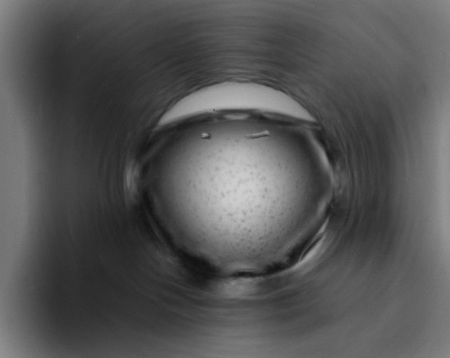 X0000094180094200711161736