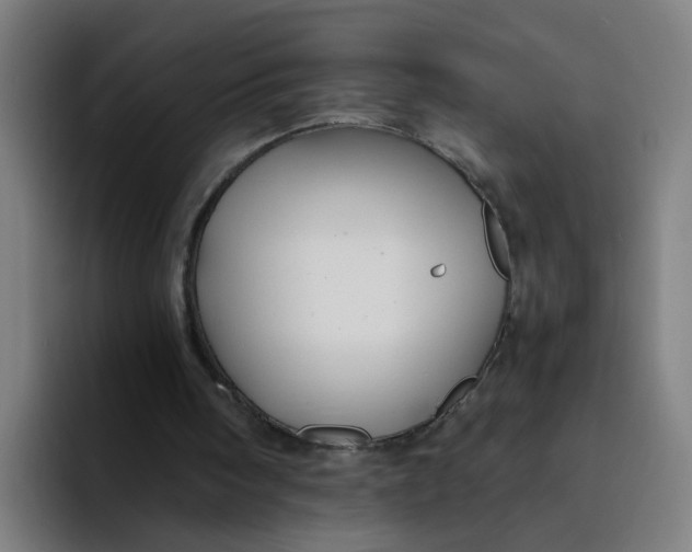 X0000094180098200711161736