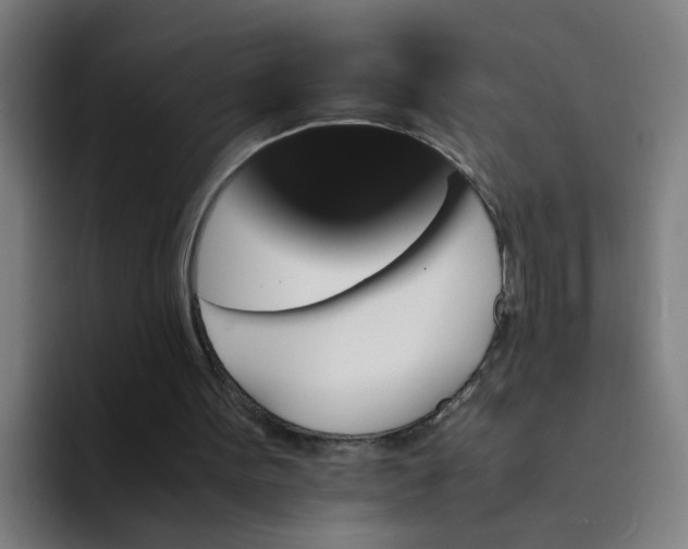 X0000094180099200711161736