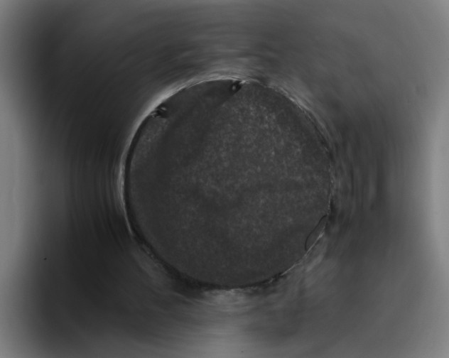 X0000094180100200711161736