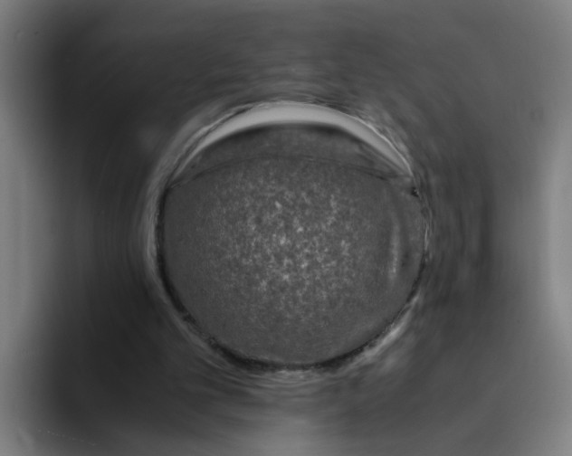 X0000094180101200711161736