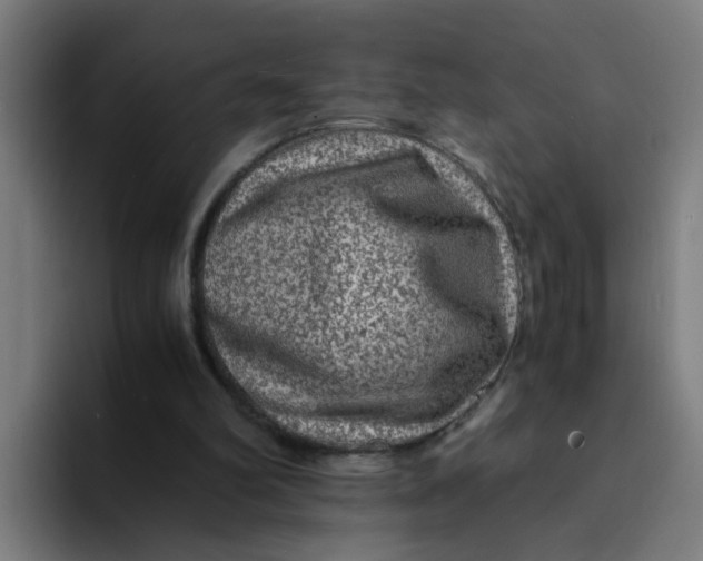 X0000094180102200711161736