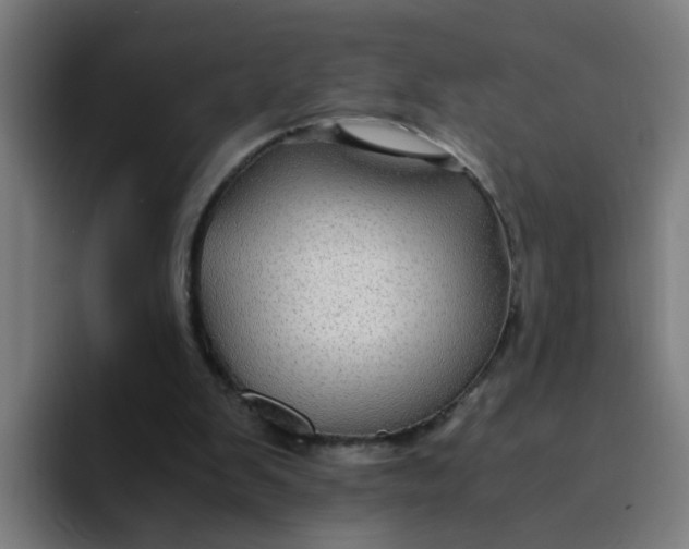 X0000094180103200711161736