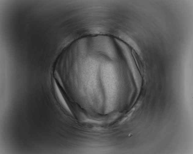 X0000094180105200711161736