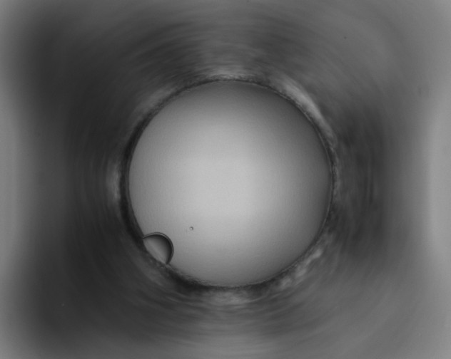 X0000094180106200711161736