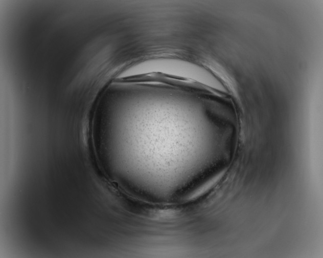 X0000094180107200711161736