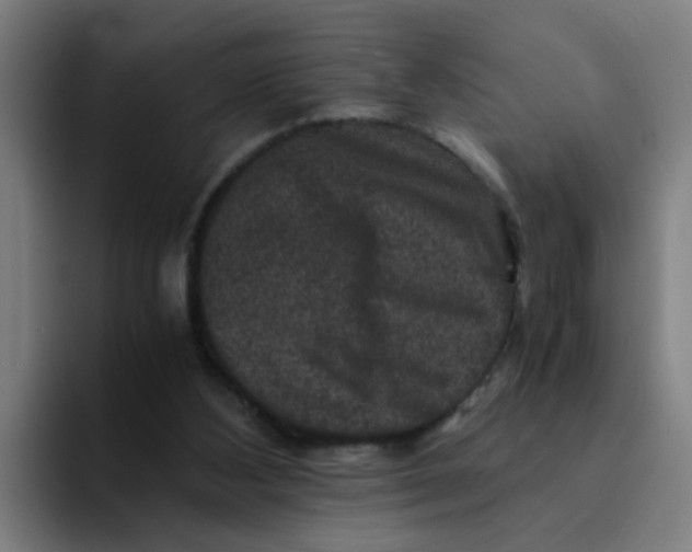 X0000094180108200711161736