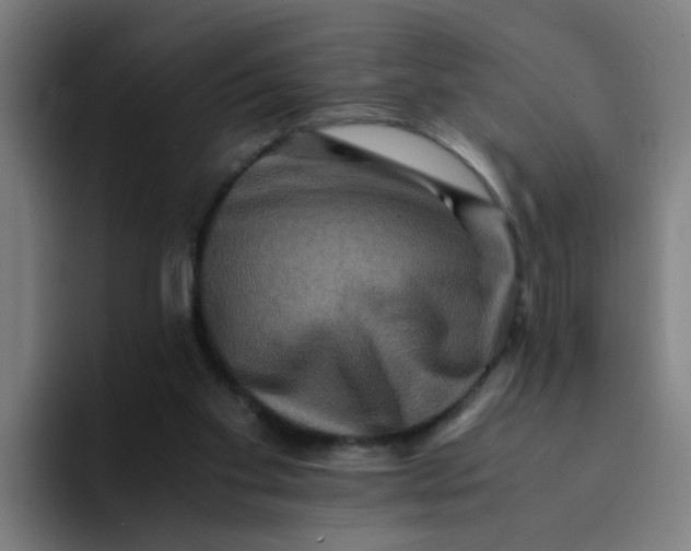 X0000094180109200711161736