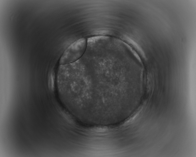 X0000094180110200711161736