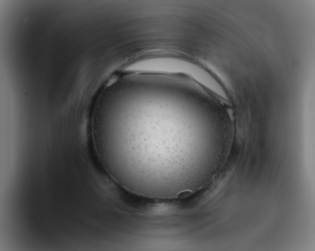 X0000094180111200711161736