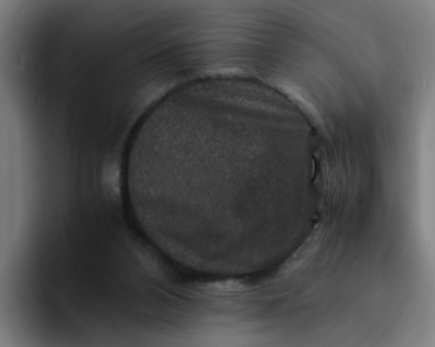 X0000094180112200711161736