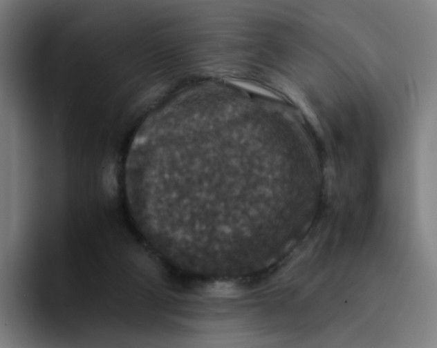 X0000094180114200711161736