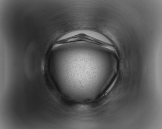 X0000094180115200711161736