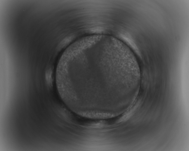X0000094180116200711161736
