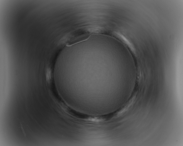 X0000094180117200711161736