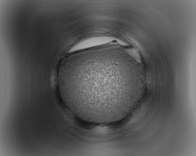 X0000094180119200711161736