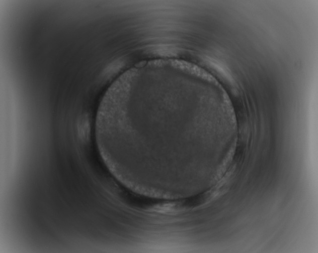 X0000094180120200711161736