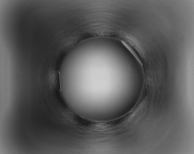 X0000094180121200711161736