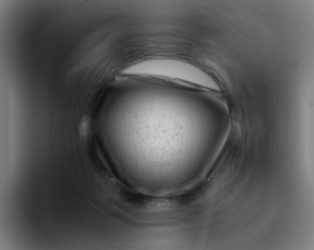 X0000094180123200711161736