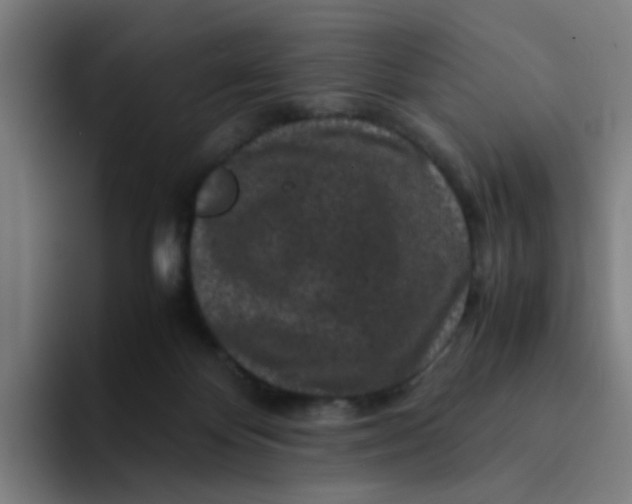 X0000094180124200711161736