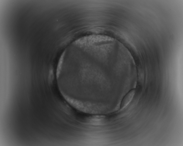 X0000094180128200711161735