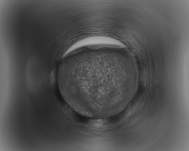X0000094180131200711161735