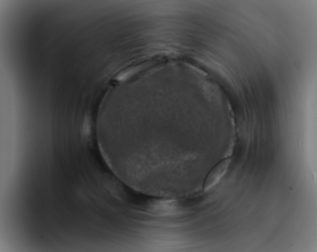X0000094180132200711161735