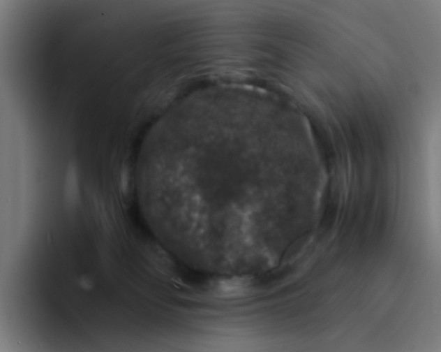 X0000094180134200711161735