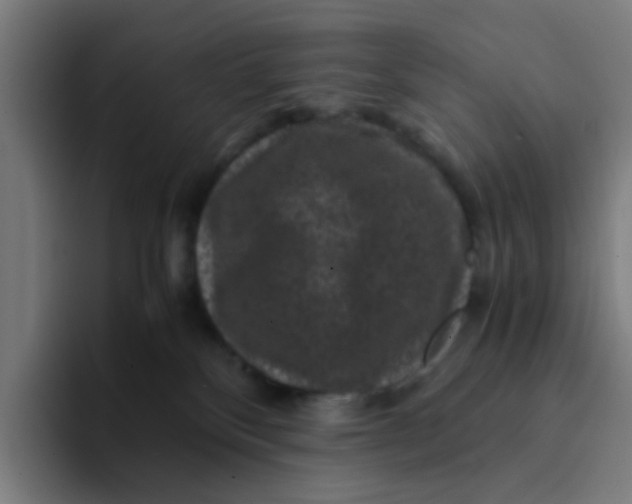 X0000094180136200711161735