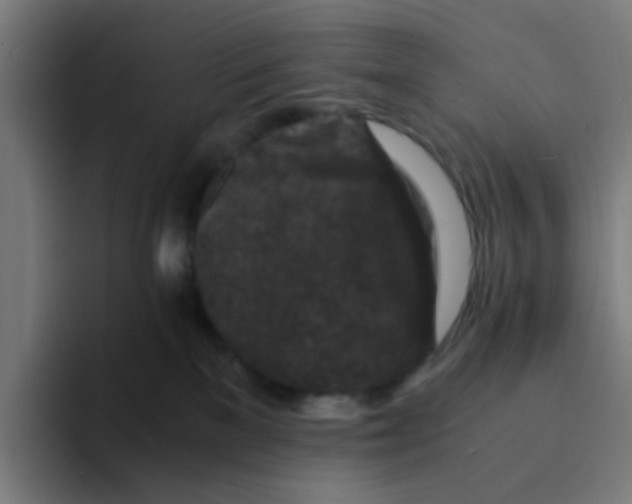 X0000094180137200711161735