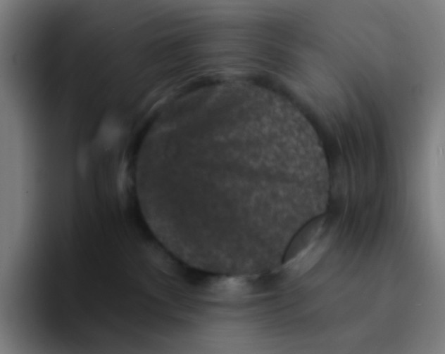 X0000094180140200711161735