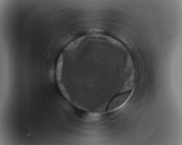 X0000094180144200711161735