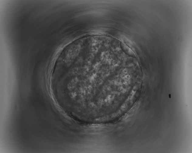 X0000094180145200711161735