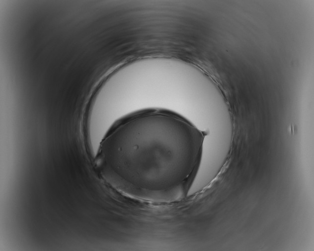 X0000094180146200711161735