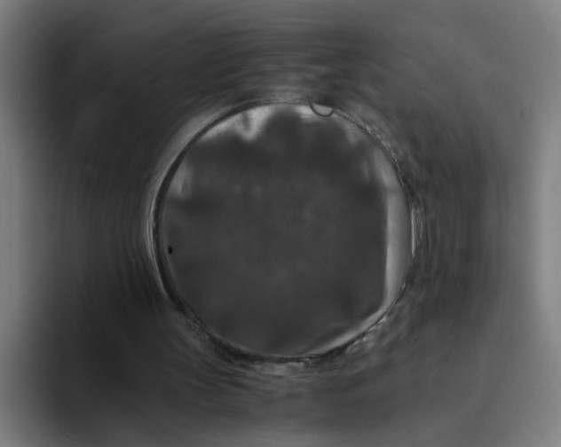 X0000094180147200711161735