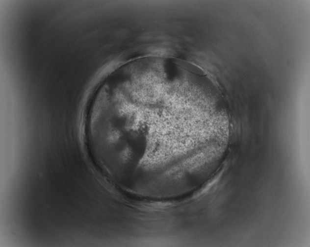 X0000094180149200711161735