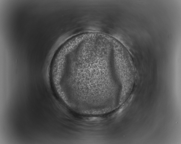 X0000094180151200711161735