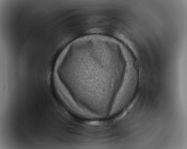 X0000094180153200711161735